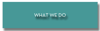 What We do